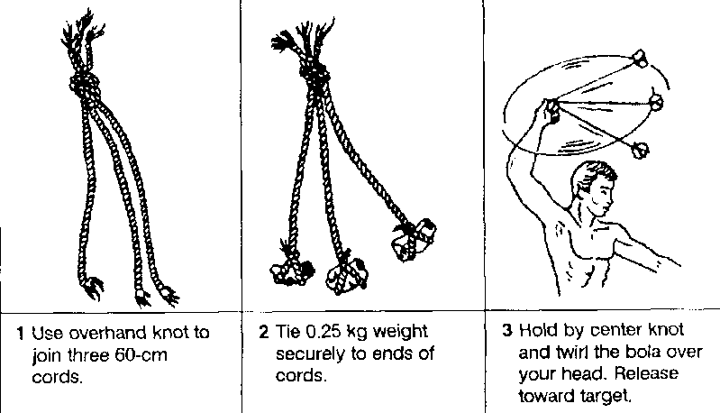 arma de caza bola