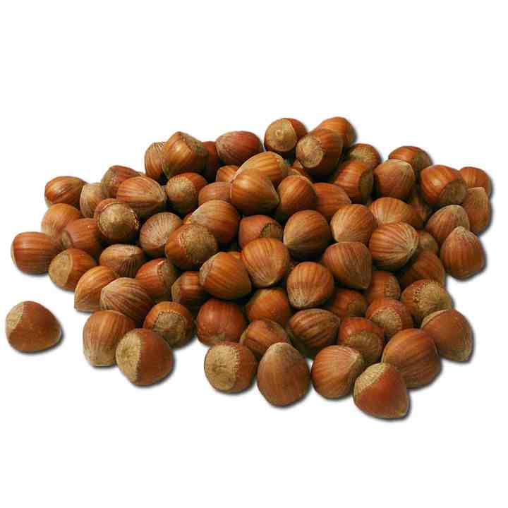 Hazel Nuts