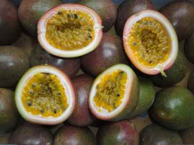 passion flower fruit