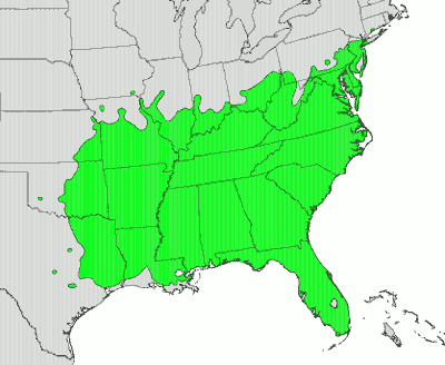 Persimmon map