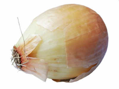 fondos de cebolla