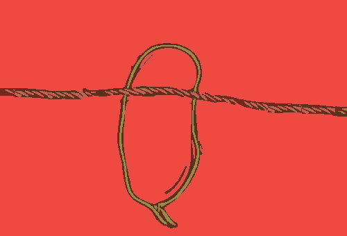 Prusik Knot