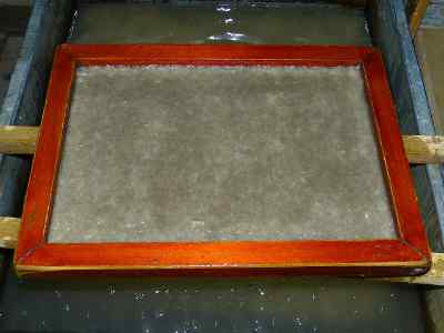 pulp on frame pulp on frame